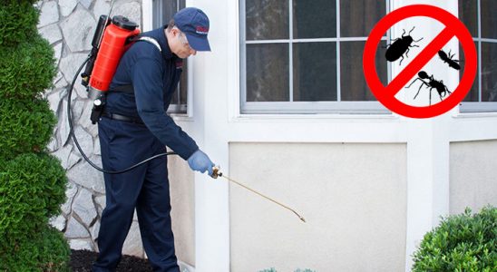 Suşehri Kene İlaçlama böcek ilaçlama ve haşere kontrolü — ilaclama-tr.com